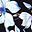 Delicate Orchid