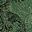 Green Floral