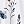 White Floral
