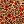 Brown Floral
