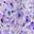 Purple Floral
