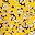 Flora Yellow White