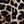 Leopard Print