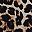 Leopard Print