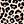 Black Leopard