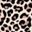 Black Leopard