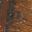 Tigers Eye