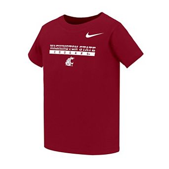 Toddler Nike Crimson Washington State Cougars Dri-FIT Name Bar Legend T-Shirt