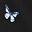 Black Black Butterfly