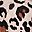 Black Leopard Print