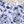 Floral Purple