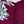 Wine Red Flower