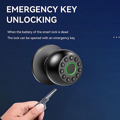 Keyless Entry Smart Ball Door Lock - Biometric Fingerprint & Tuya Bluetooth Electronic Knob