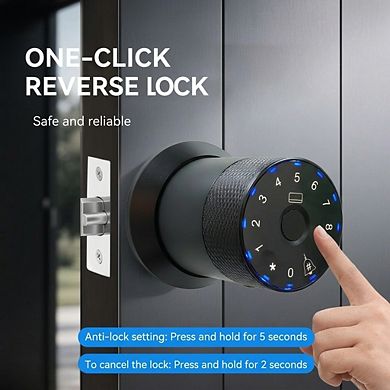 Smart Knob Door Lock - WiFi APP Remote Control, Digital Passcode, IC Card & Emergency Key,Black