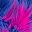 Colorful Purple