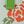 Green Orange