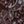 Coffee Color