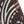 Dark Coffee Color