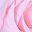 Pink Orange
