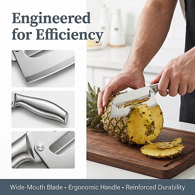 Stainless Steel Vegetable and Fruit Peeler Multifunctional Peeler with Handle 10.6x2.6 inch