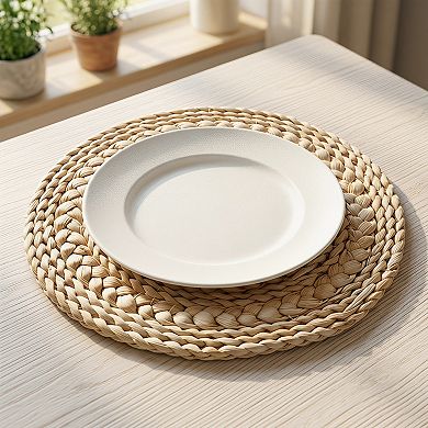 Round Placemats Set of 4 Woven Placemats for Dining Table Decor Indoor Wipeable Mat 11.8x11.8in