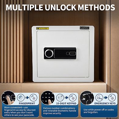 Home Safe Box, 1.6 Cub Biometric Safe Fingerprint Recognition Lock Box, Fireproof, Heavy Duty Steel