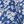 Blue White Print