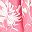 Pink Floral