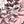 Pink Grey