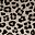 Brown Leopard