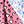 Butterfly Deep Pink