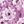 Navy Purple Floral