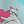 Blue Cat