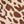 Khaki Leopard