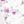 White Pink Floral