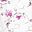 White Pink Floral