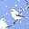 Blue Pigeon