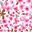 Pink Floral