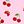Pink Cherry