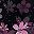 Black Sakura