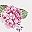 Hydrangea Pink