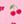 Pink Cherry