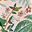 Tropical Print