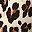 Black Brown Leopard