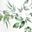 Green Leaves