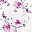 Flowers Pink White
