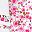 Pink Floral