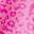 Hot Pink Leopard