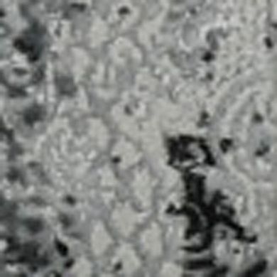 HomeRoots Rectangle Abstract Polypropylene Blend Area Rug