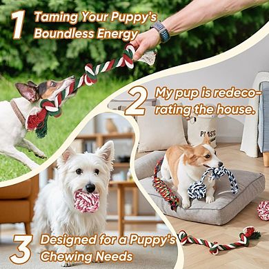 Dog Rope Toy Set, Durable Chew & Tug Training Toys